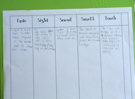 a is for anteater sensory details in writing sensory details chart